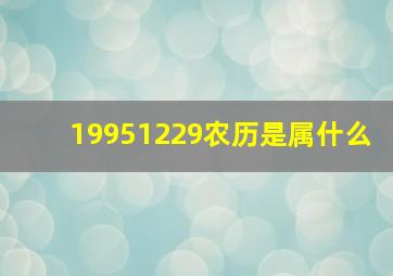 19951229农历是属什么