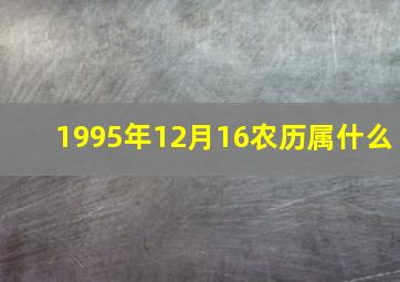 1995年12月16农历属什么