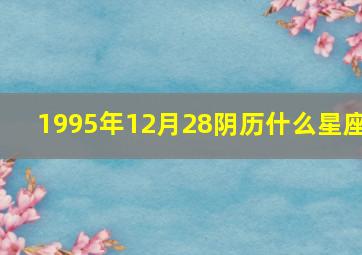 1995年12月28阴历什么星座