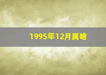 1995年12月属啥