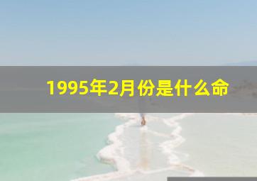 1995年2月份是什么命