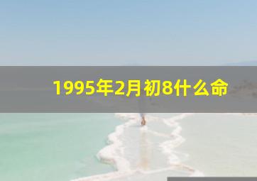 1995年2月初8什么命