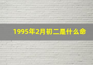 1995年2月初二是什么命