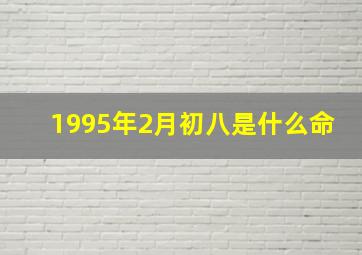 1995年2月初八是什么命