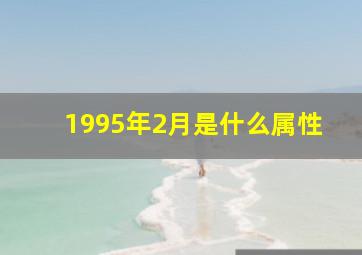 1995年2月是什么属性