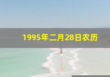 1995年二月28日农历