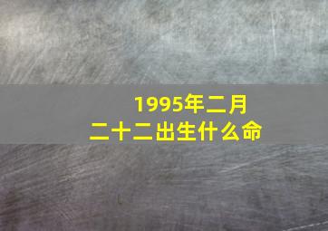 1995年二月二十二出生什么命