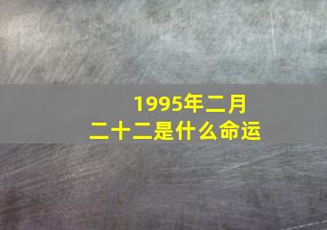 1995年二月二十二是什么命运