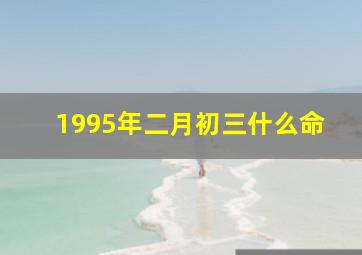 1995年二月初三什么命