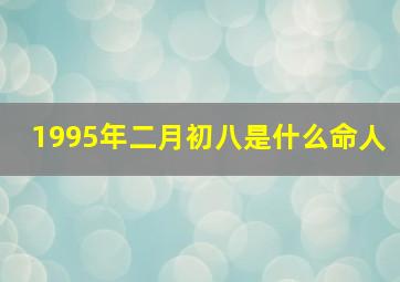 1995年二月初八是什么命人