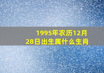 1995年农历12月28日出生属什么生肖