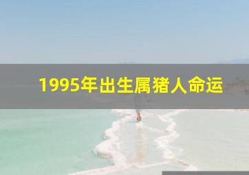 1995年出生属猪人命运