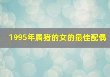 1995年属猪的女的最佳配偶