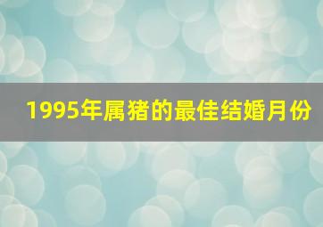 1995年属猪的最佳结婚月份