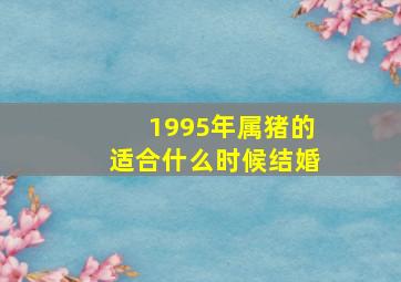 1995年属猪的适合什么时候结婚