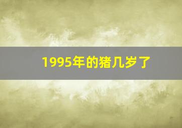 1995年的猪几岁了