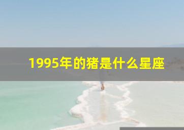 1995年的猪是什么星座