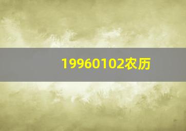 19960102农历