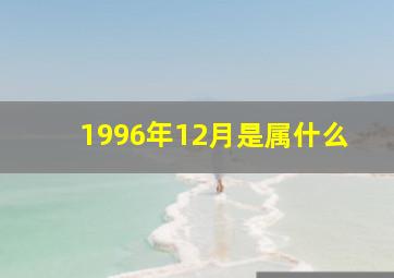 1996年12月是属什么