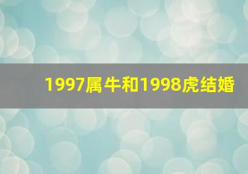 1997属牛和1998虎结婚