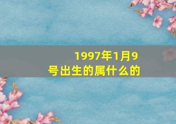 1997年1月9号出生的属什么的