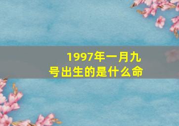 1997年一月九号出生的是什么命