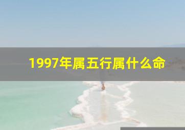 1997年属五行属什么命