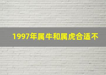 1997年属牛和属虎合适不