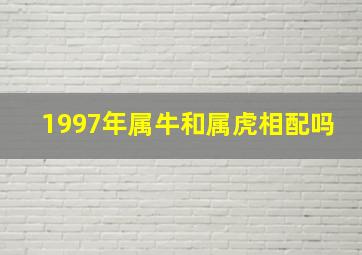 1997年属牛和属虎相配吗