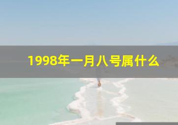 1998年一月八号属什么