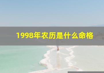 1998年农历是什么命格