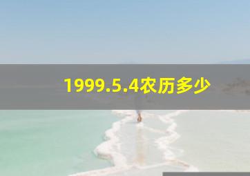 1999.5.4农历多少