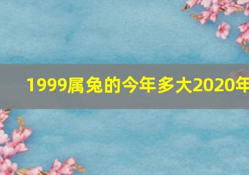 1999属兔的今年多大2020年