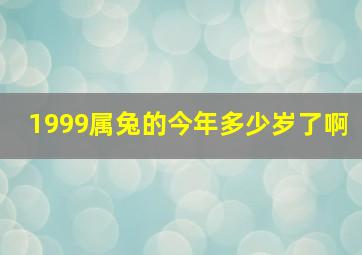 1999属兔的今年多少岁了啊