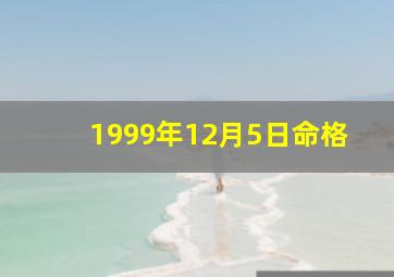 1999年12月5日命格