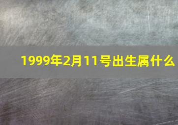 1999年2月11号出生属什么