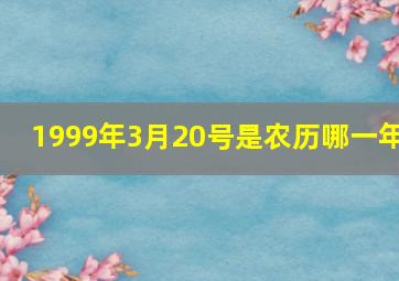 1999年3月20号是农历哪一年