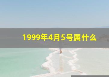 1999年4月5号属什么