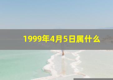 1999年4月5日属什么