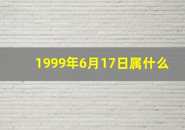 1999年6月17日属什么