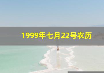 1999年七月22号农历