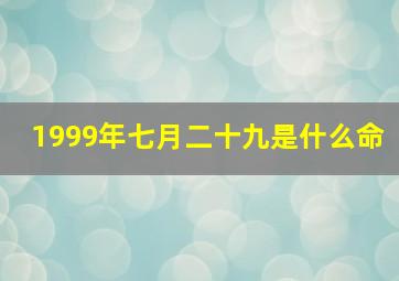 1999年七月二十九是什么命