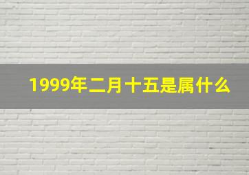 1999年二月十五是属什么