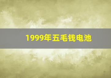 1999年五毛钱电池