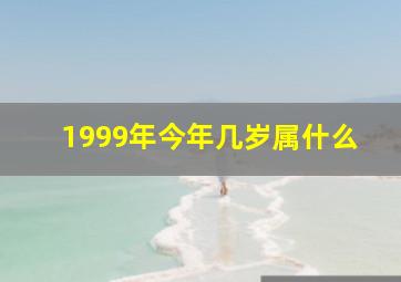 1999年今年几岁属什么