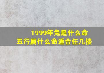 1999年兔是什么命五行属什么命适合住几楼