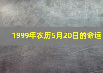 1999年农历5月20日的命运