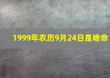 1999年农历9月24日是啥命