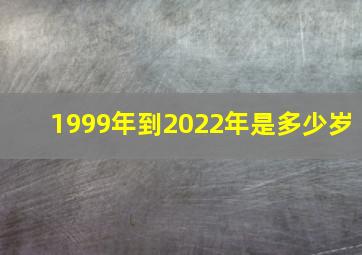 1999年到2022年是多少岁