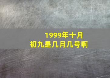 1999年十月初九是几月几号啊